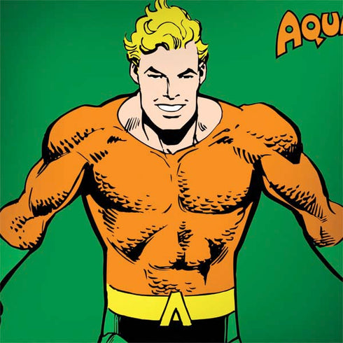 DC Comics Aquaman Classic Art Pose Surface Book 2 13.5in Skin